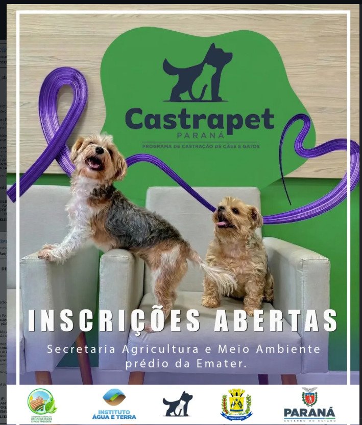 Castrapet-PR abre inscrições para castração gratuita em Diamante do Norte