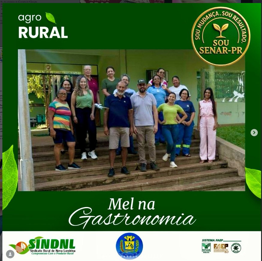 Curso Mel na Gastronomia valoriza produção rural em Diamante do Norte